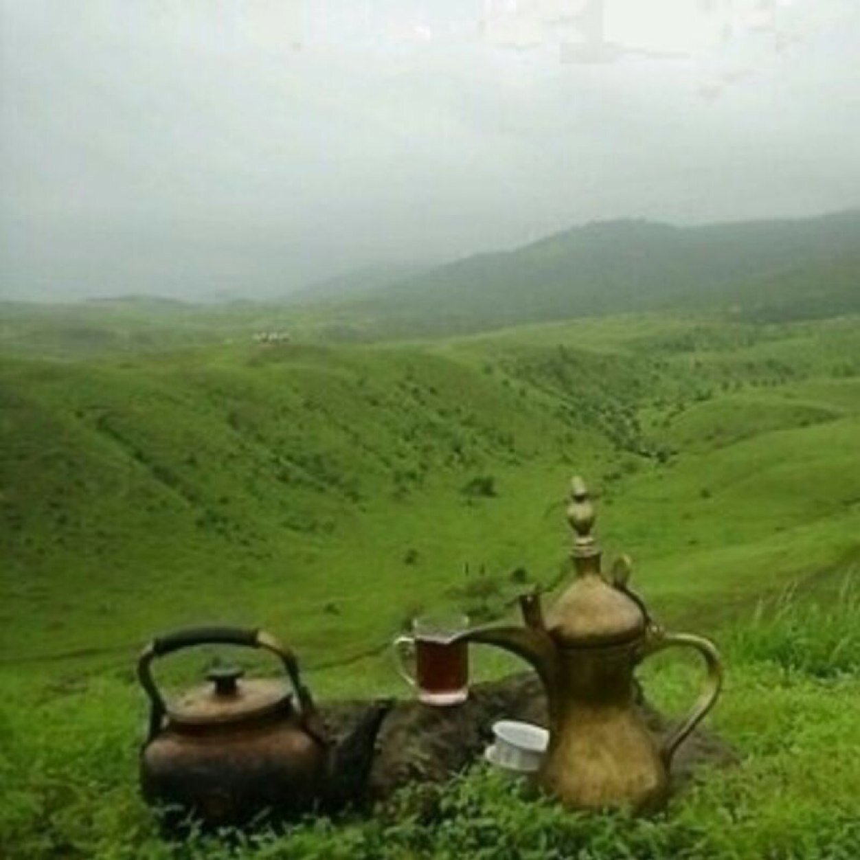 Algore5500's profile picture. 