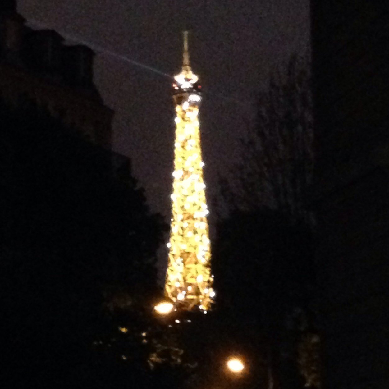 renarly14's profile picture. 