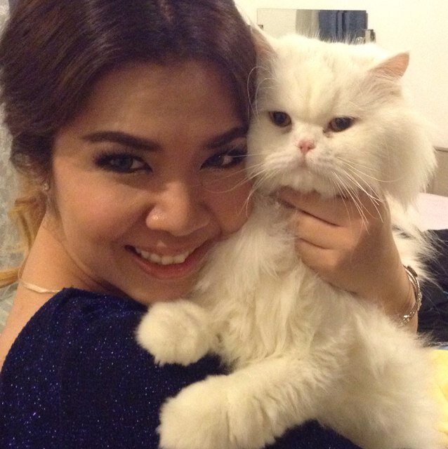 A HUGE Cat lover/Suffers from high-heels addiction/Will die for awesome music,drinks and YSL bag/ Live & breathe for LOVE ALWAYS