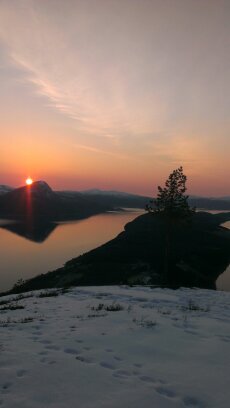 TBrusethaug's profile picture. 