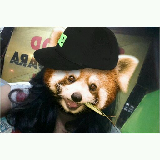 dwitasafrp's profile picture. In don asia