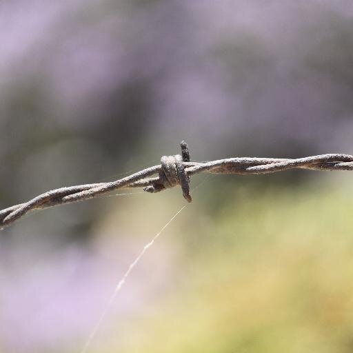 el_r78's profile picture. 