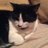 bellagoochie13's profile image