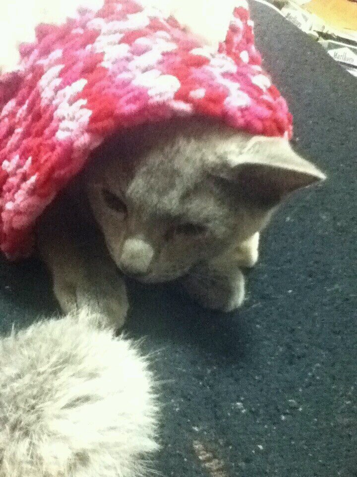 皆フォローしてちょ♡