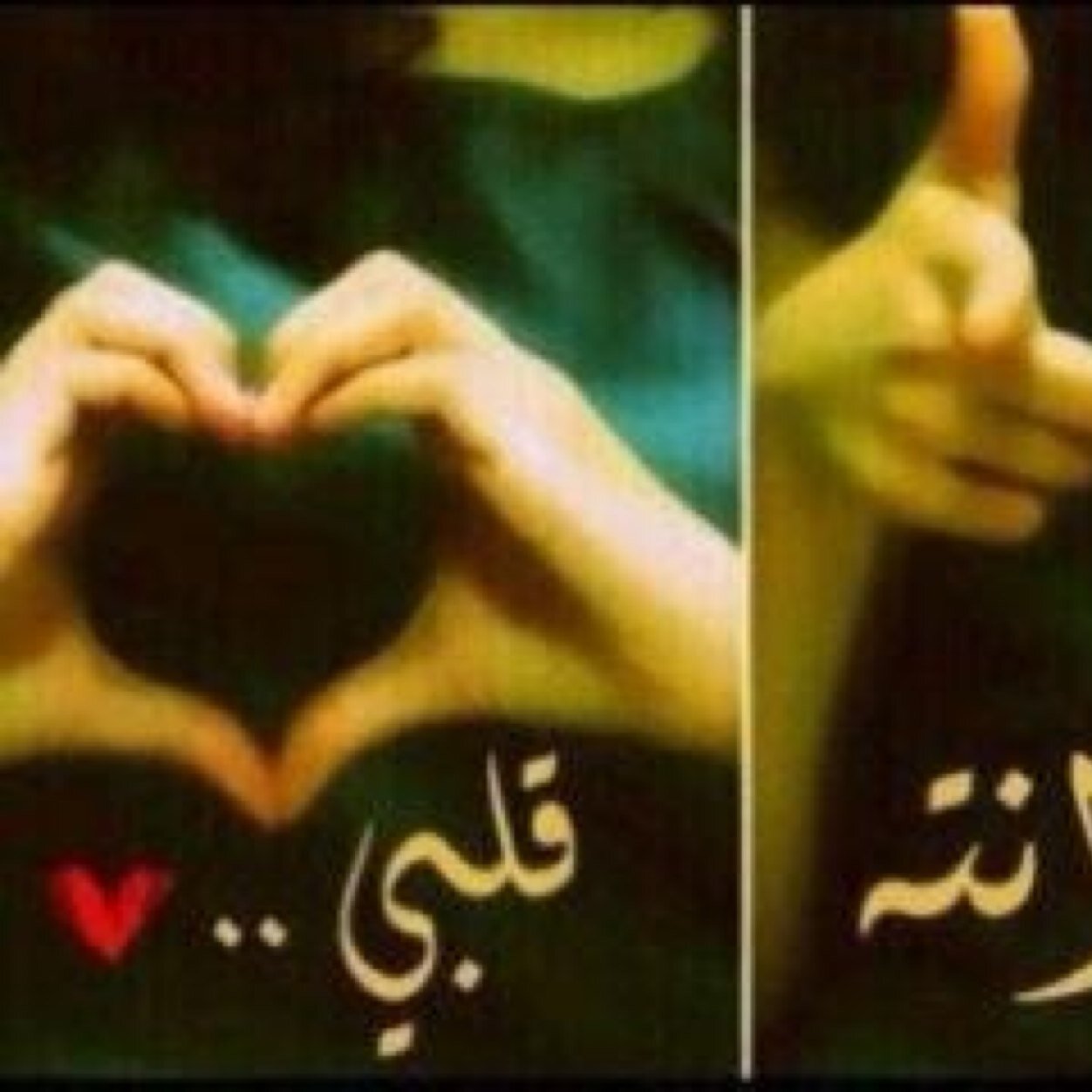 ممحونه موت اي فحل جاد وكاش يجي خاص ومعه سوا 50ورقمه الي مو جاد لا يتعب نفسه والبزران لا اشوفهم لتواصل على البي بي رقم البن موجود بالصور
