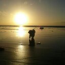 Chloé Longfellow - @CloLongfelloe - Twitter