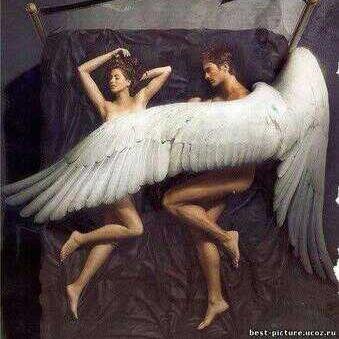 Nightman......さんのプロフィール画像