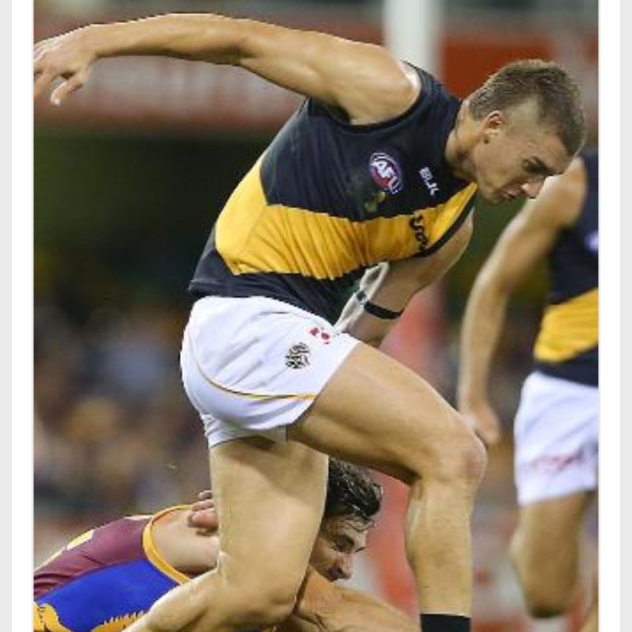 katherineee_4's profile picture. DUSTIN MARTIN....