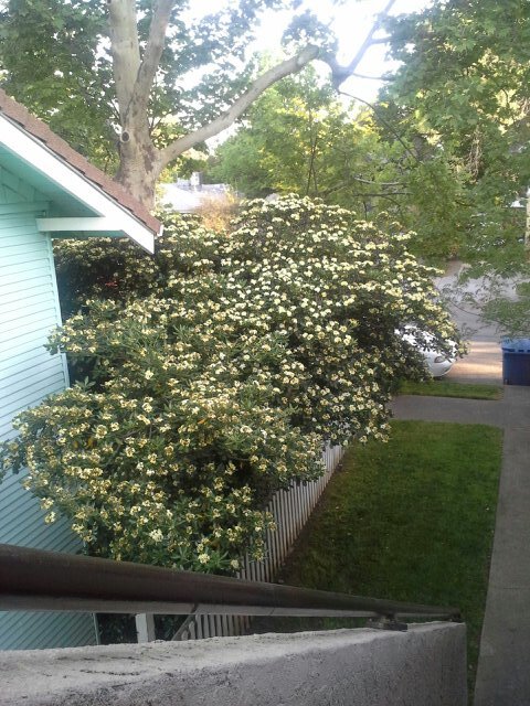 FFF4The33's profile picture. Foster Friends Foundation For the 33% of foster children that end up homeless.