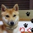 rikuinu's profile image