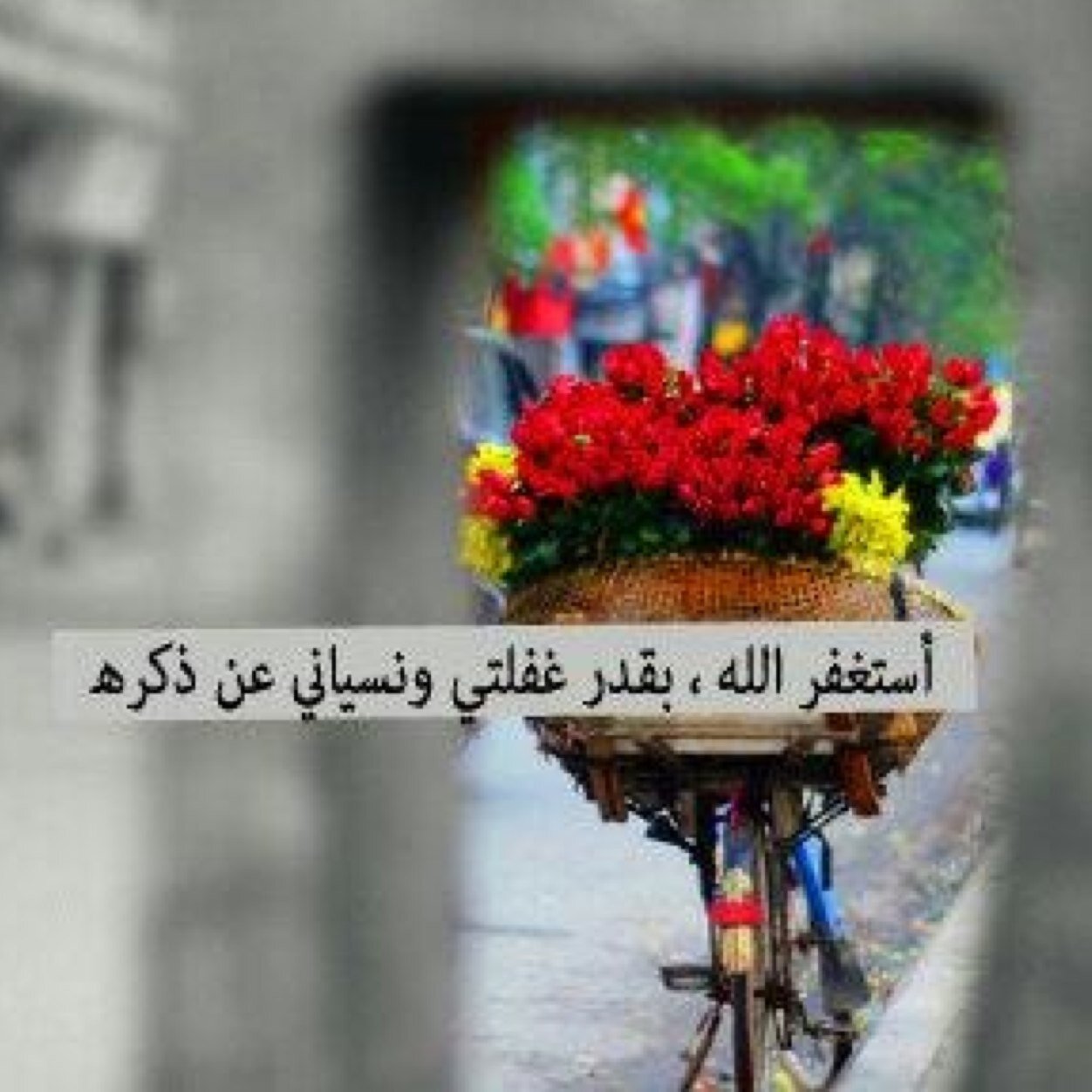 فولووو + فلوباك ... الخاص مهمل