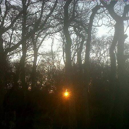 Duncan Wood, born in Oldham, lives in Essex, writer of thoughtful ghost stories that will 'intrigue, disturb and unsettle you' (Essex Chronicle)