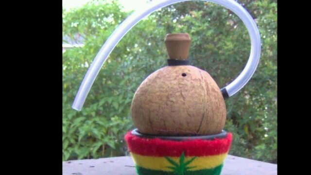 Hi! I'm Felix and i make coconuts. They are Rasta Smoking chalices. For tobacco use only. Any orders email me at Felix.coconuts@gmail.com