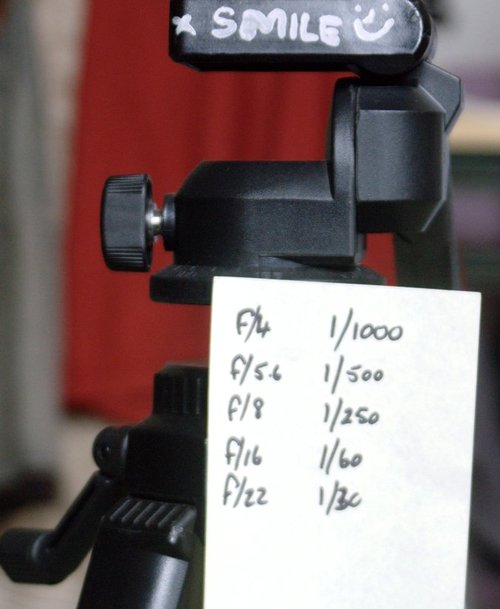 dslrshooter's profile picture. Hobby Photography