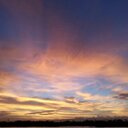 Ik sung son - @soniksung - Twitter