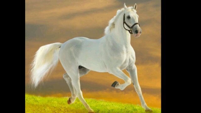 0555989817's profile picture. استغفر الله العظيم رب العرش العظيم ...