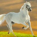كاتم الأصوات (@0555989817) Twitter