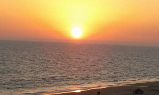 rebollo_sa's profile picture. 