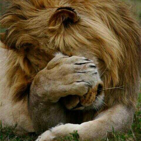 cretma's profile picture. Qué le vamos a hacer ...