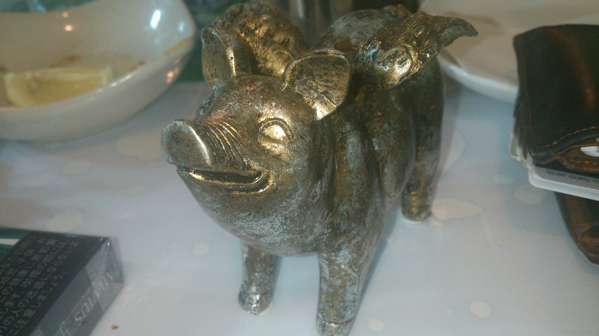 jomson16's profile picture. 新潟大学 軽音楽部