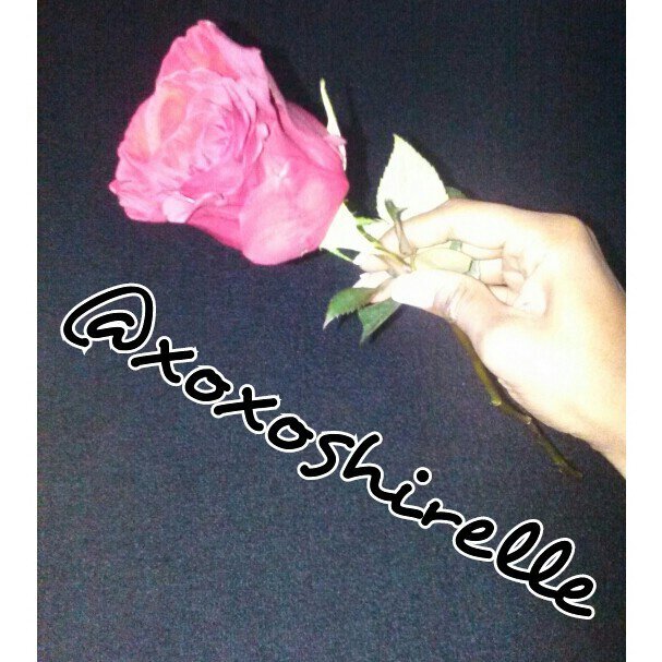 Aspiring Freelance Photographer! #photographybyshirelle #photographyislife