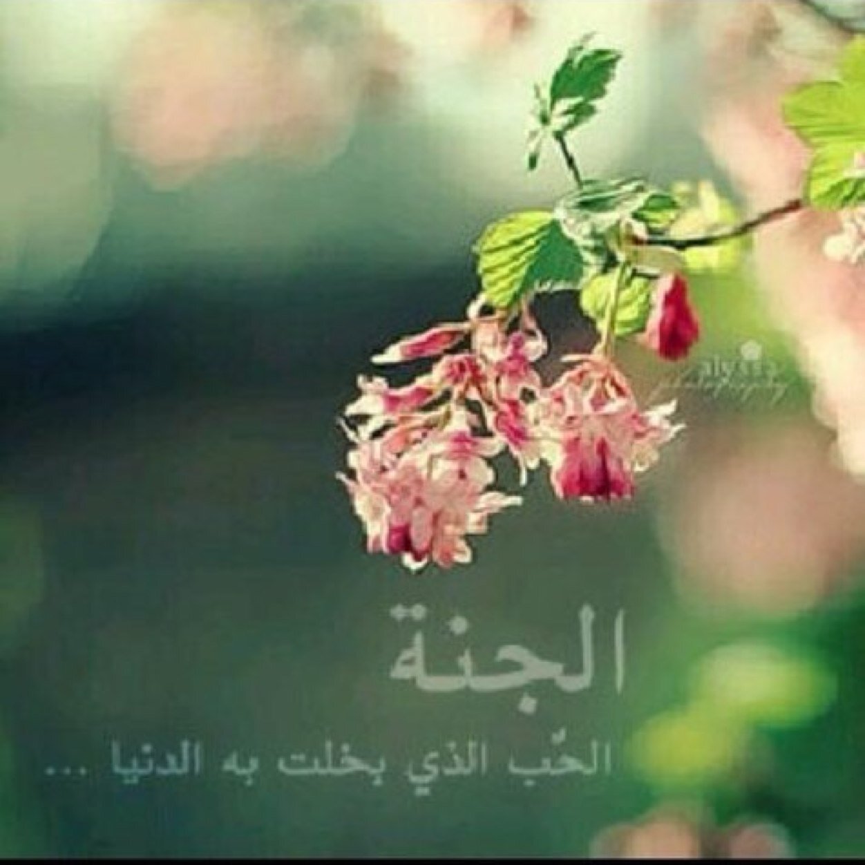 اللهم اجعلنا من الذاكرين الله كثيراً والذاكرات ...