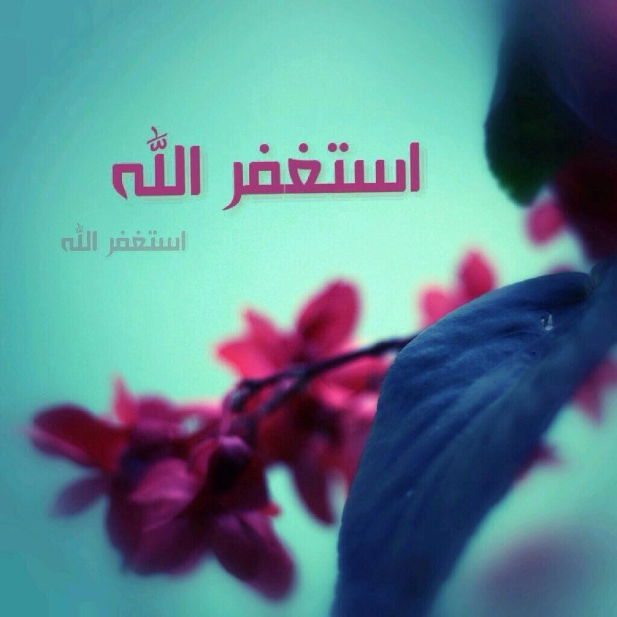 حساب صدقة