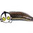 leech_39's profile image