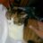 satoyama422's profile image