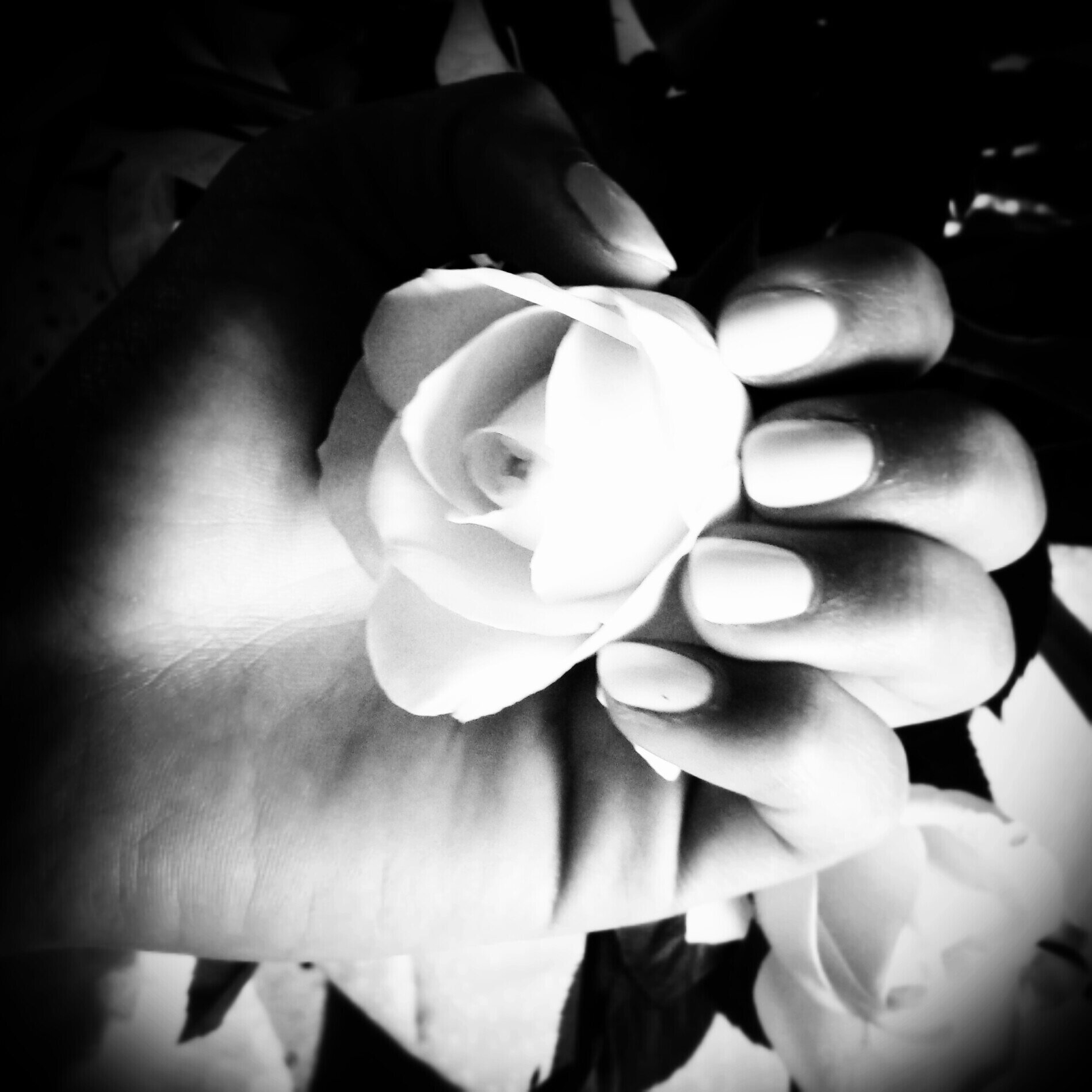 kenzoulle's profile picture. 