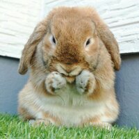 brax3 (@brax3) Twitter profile photo