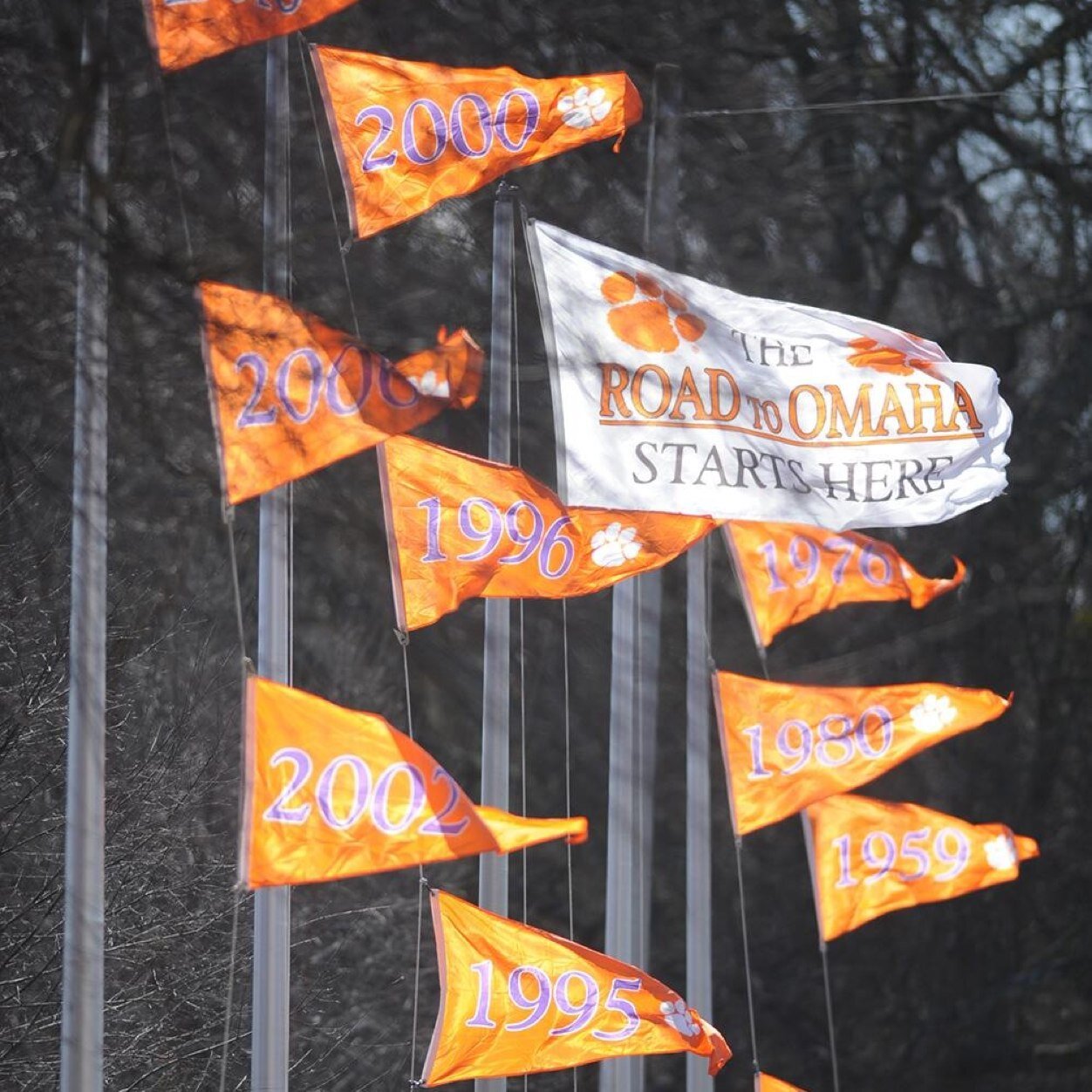 TigerFamily2013's profile picture. Clemson Tiger Nation 2013 football