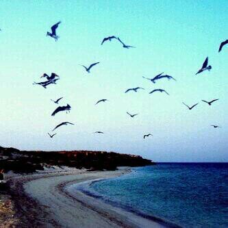 ‏‏‏وقبرا وضعت به ابي انيره يأ الله ♥ امي هيا جنتي♥                             18سنه        ( الاهلي)♡