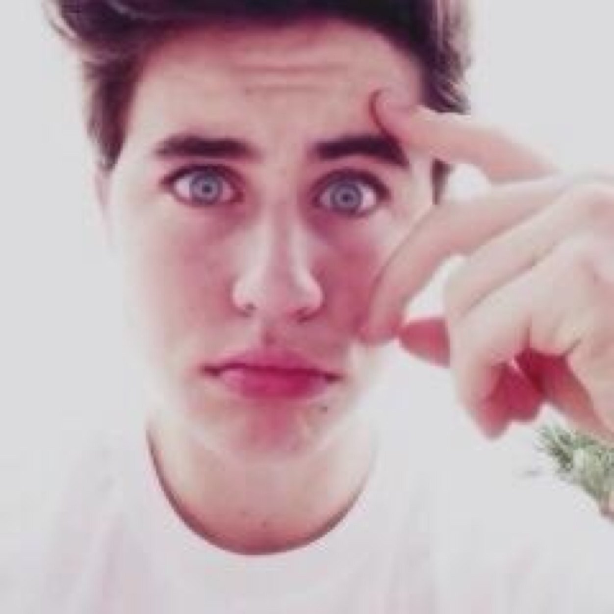 ow now brown cow #magcontony 2/12