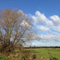 MusicOnTheLevels (@music_levels) 's Twitter Profile