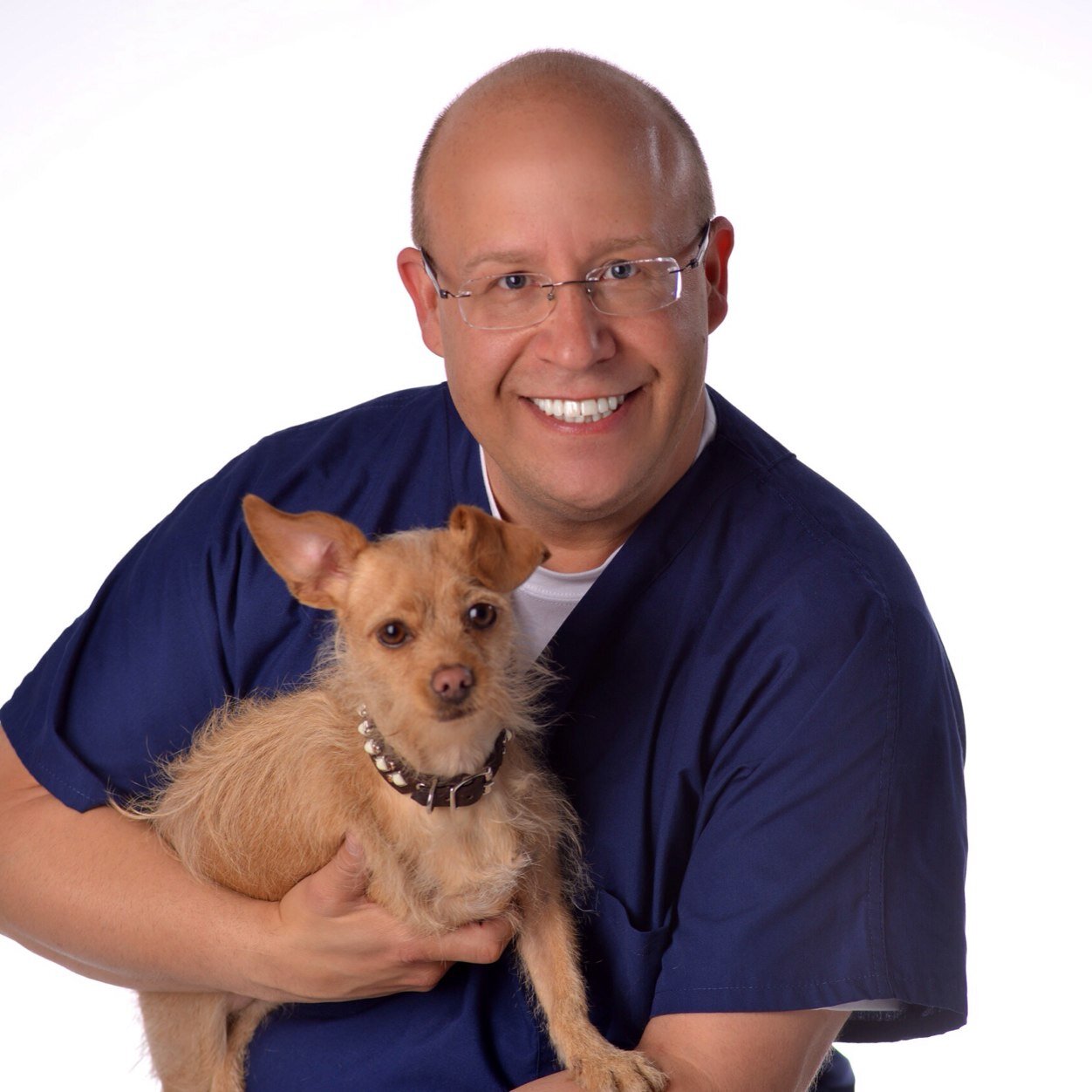 Dr. Nicklaus Fox provides compassionate, stress-free, in-home veterinary services in the Los Angeles area.