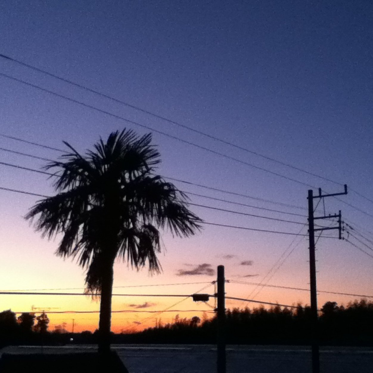 HooNetwww's profile picture. 