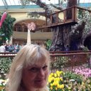 Sharon Selig - @SeligMrs - Twitter