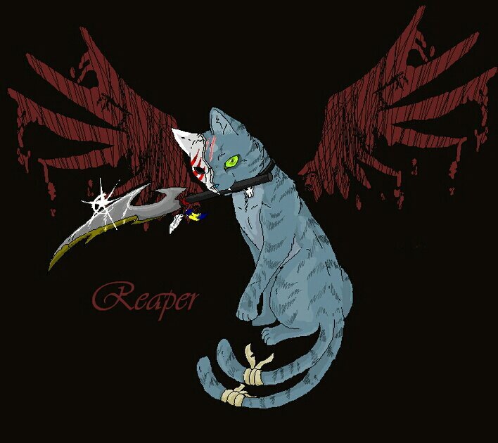 My name is Reaper the cat. {looks like profile pic} Carries around a huge blade for mass murder. Never, EVER underestimate me. But I do secretly love somecat.