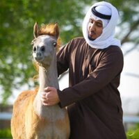fahad alazmi (@fahad__al3aazmi) 's Twitter Profile