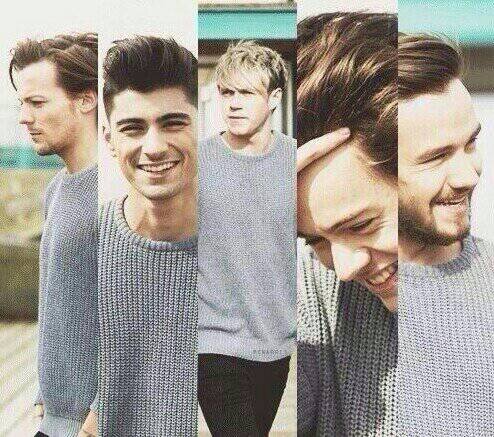 Can you please follow @niallftjmo and not this acc? :)