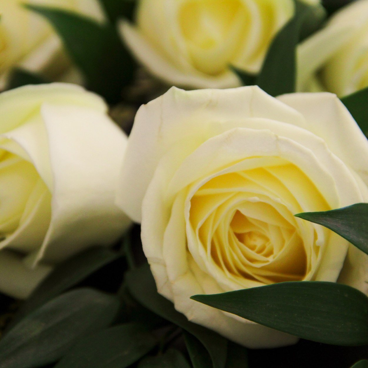 DHoughtonPhoto's profile picture. Wedding Photographer, based in Exeter covering all the South and Essex, Bespoke, beautifully captured images of your special day.