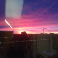 Petter Ögren (@petterogren) 's Twitter Profile