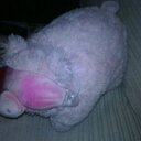 Elisa Day - @WilburClive - Twitter