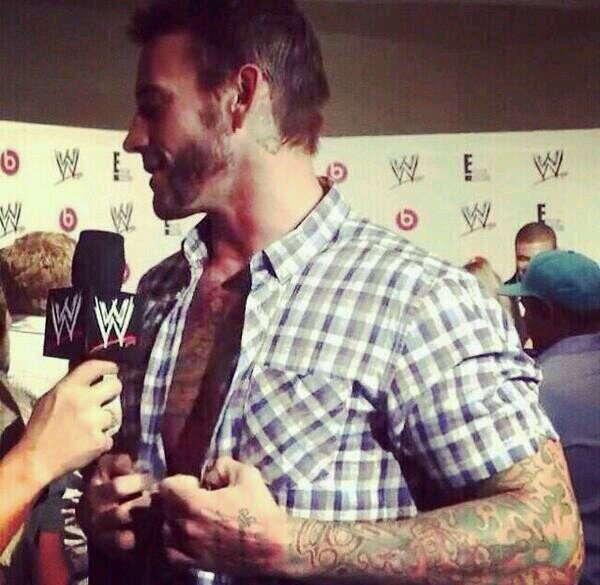 wwejj1's profile picture. aj lee and cm punk #punkmyhero