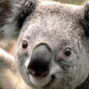 Daniel meier - @flamme412 - Twitter