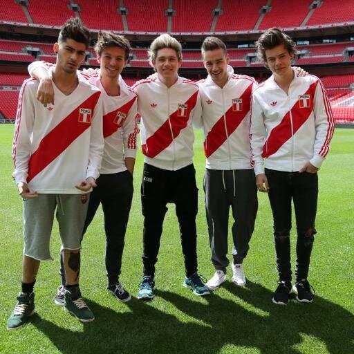 i love One Direction ..Harry pleasee follow