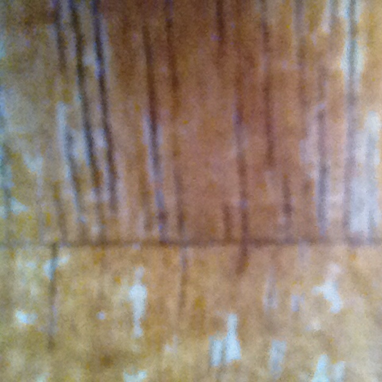 StephW330's profile picture. 