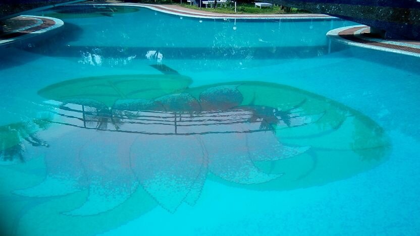 Hotel in Goa, Hotel in Anjuna, Hotel North Goa, Resort In Goa, Biggest Swimming Pool in Goa
