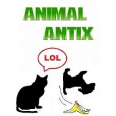 Animal Antix official Twitter page!